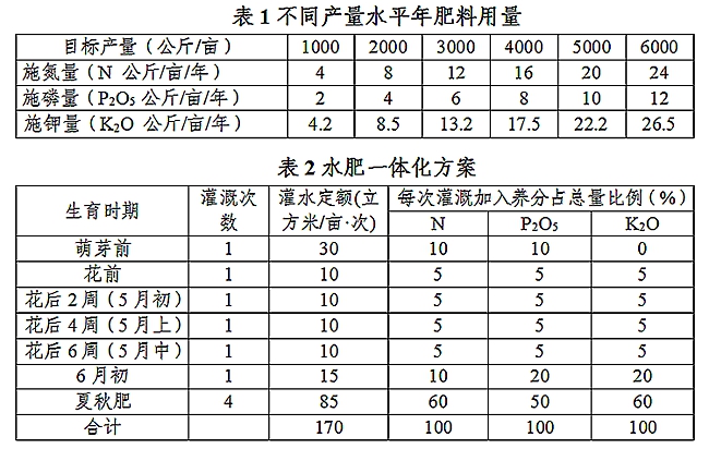 未命名_副本.jpg