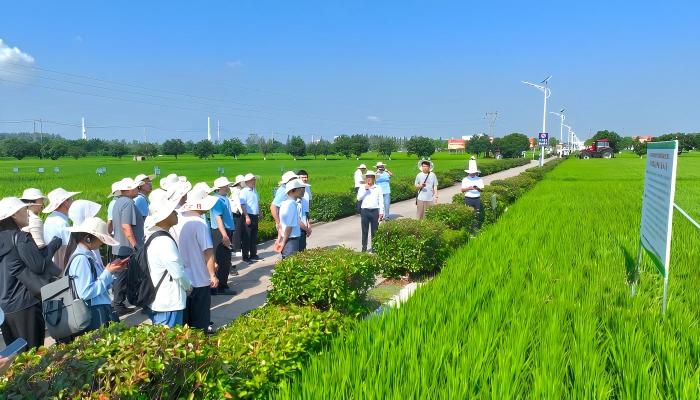 观摩交流促转化 智能精准施肥技术落地长江 中下游现代农业科技试验示范基地